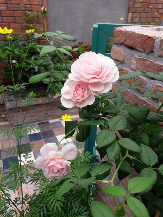 Nam Thi Holiday Home ไก๋เบ ภายนอก รูปภาพ